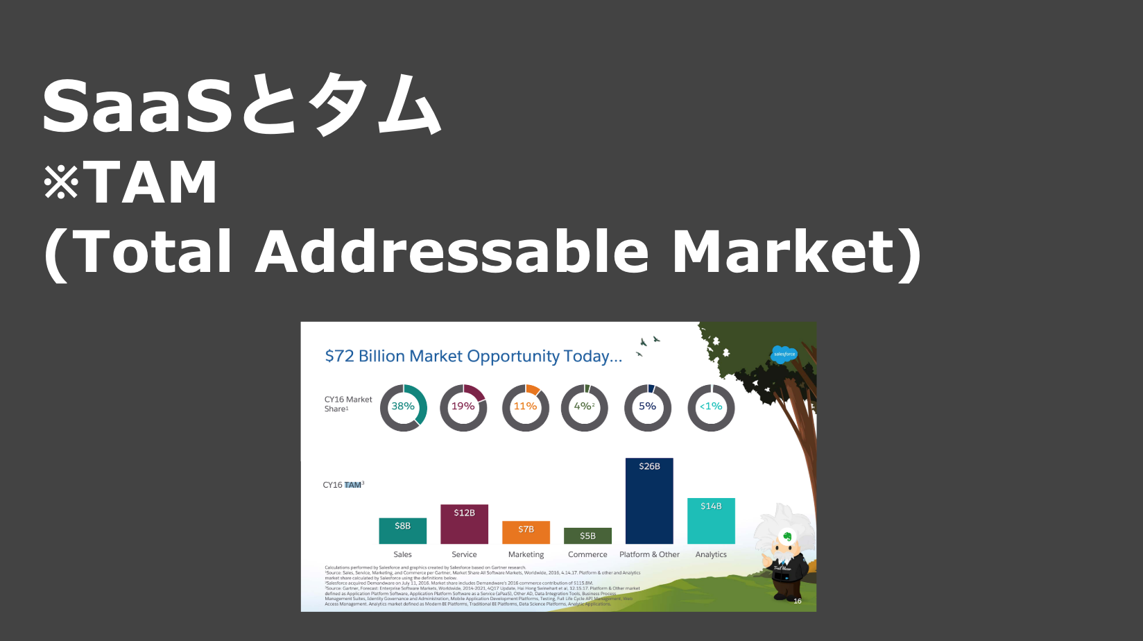 saaslife_SaaSとタム※TAM(Total Addressable Market)